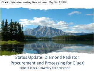 Status Update: Diamond Radiator Procurement and Processing for GlueX
