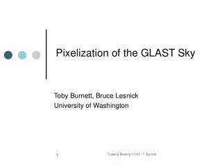 Pixelization of the GLAST Sky