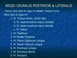 REGIO CRURALIS POSTERIOR &amp; LATERALIS