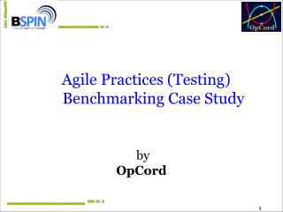 Agile Practices (Testing) Benchmarking Case Study