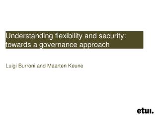 Understanding flexibility and security: towards a governance approach