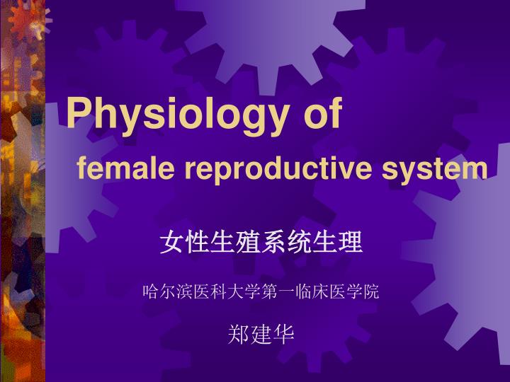 physiology of female reproductive system