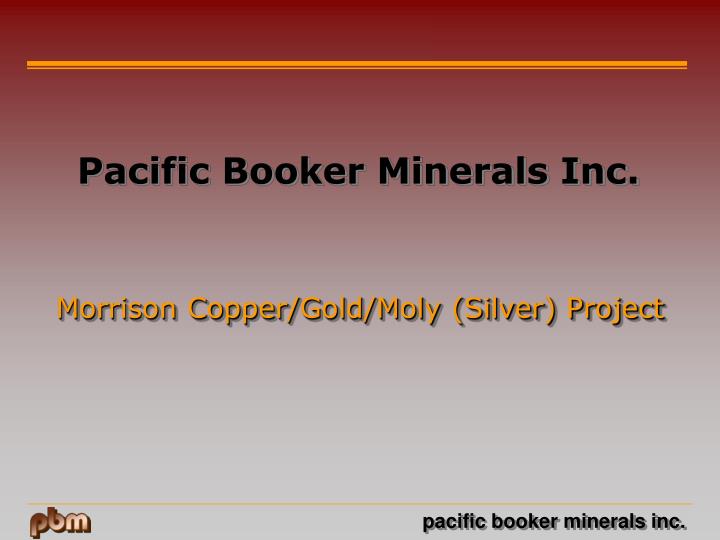 morrison copper gold moly silver project