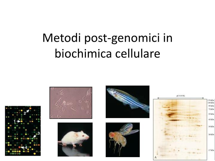 metodi post genomici in biochimica cellulare