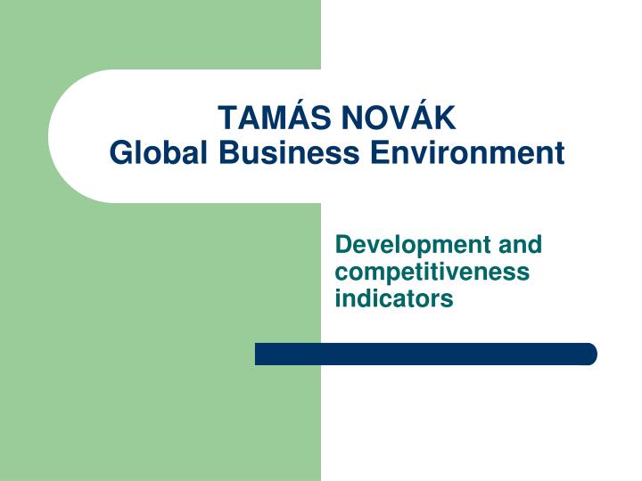 tam s nov k global business environment