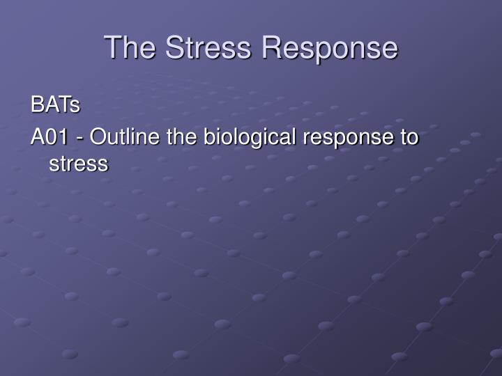 the stress response