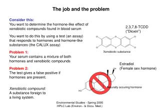 The job and the problem