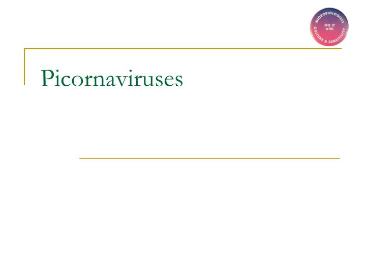 picornaviruses