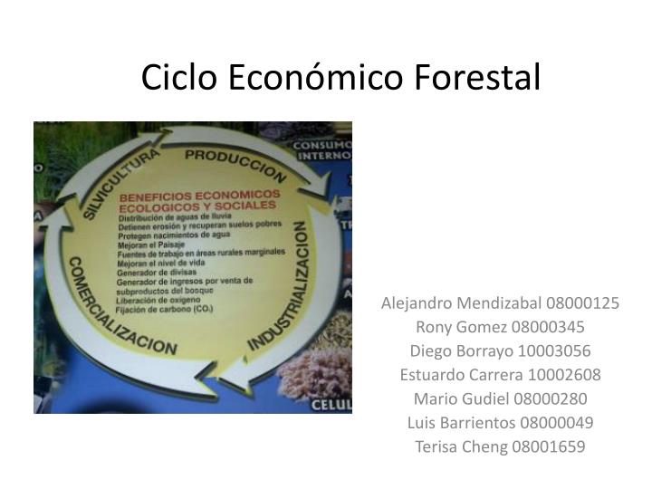 ciclo econ mico forestal