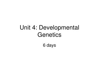Unit 4: Developmental Genetics