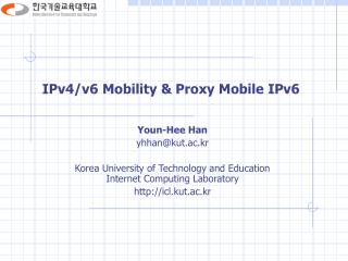 IPv4/v6 Mobility &amp; Proxy Mobile IPv6