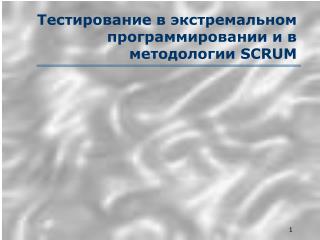 scrum