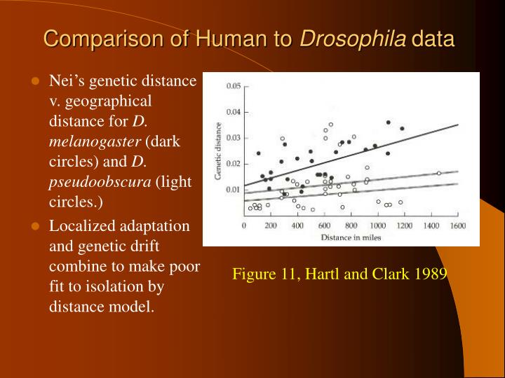 comparison of human to drosophila data