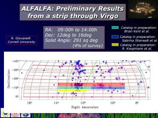 ALFALFA: Preliminary Results from a strip through Virgo