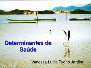 determinantes da sa de