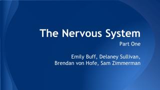 The Nervous System