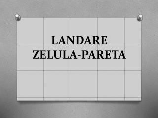 landare zelula pareta