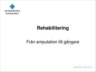 rehabilitering