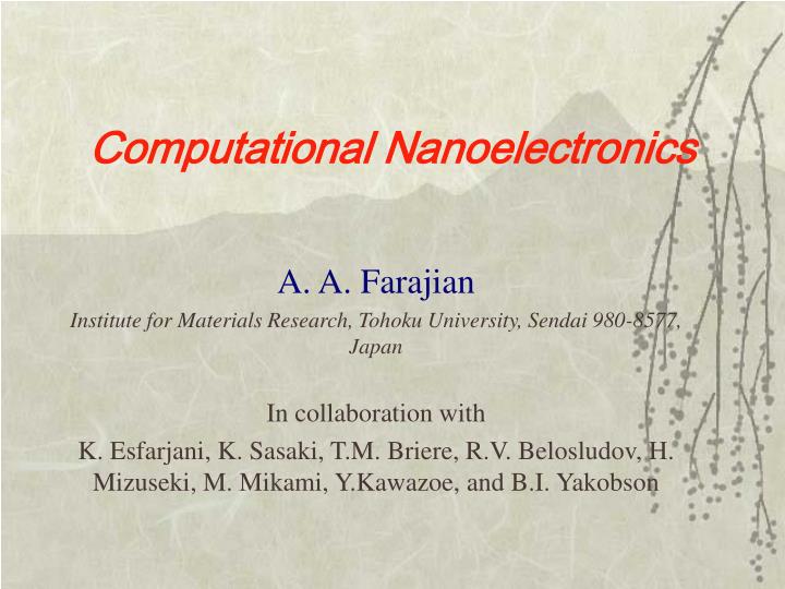 computational nanoelectronics