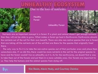 Unhealthy Ecosystem