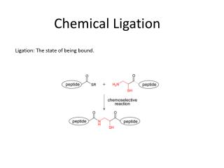 Chemical Ligation