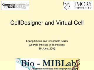 CellDesigner and Virtual Cell