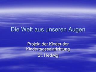 die welt aus unseren augen