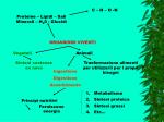 ORGANISMI VIVENTI - slide 1