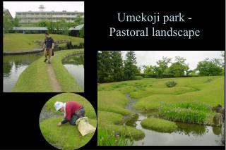 Umekoji park - Pastoral landscape