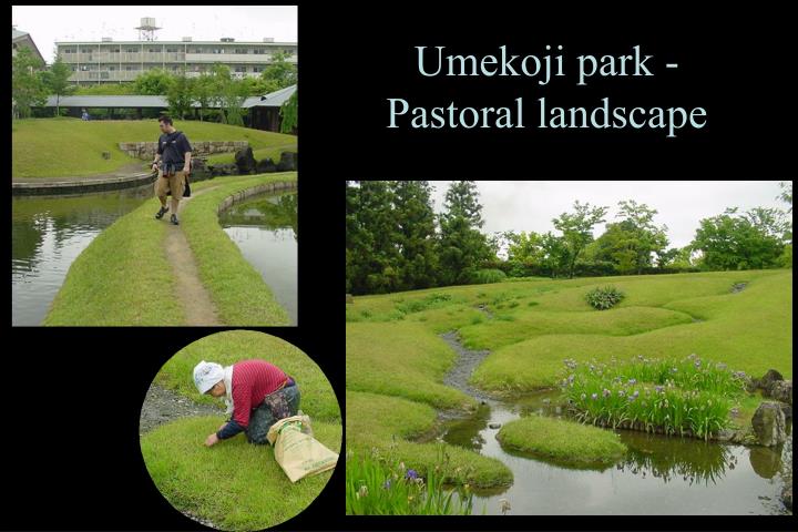 umekoji park pastoral landscape