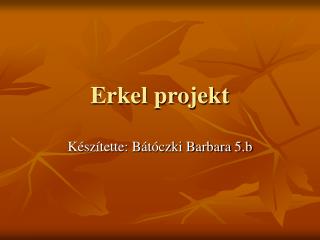 erkel projekt