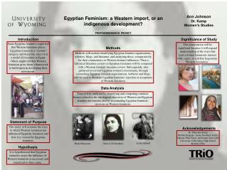 Egyptian Feminism: a Western import, or an indigenous development?