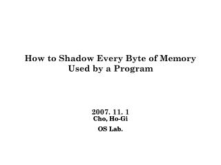 How to Shadow Every Byte of Memory Used by a Program