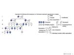 Mendel forever - slide 1