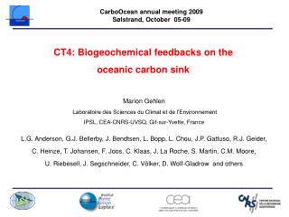 CT4: Biogeochemical feedbacks on the oceanic carbon sink