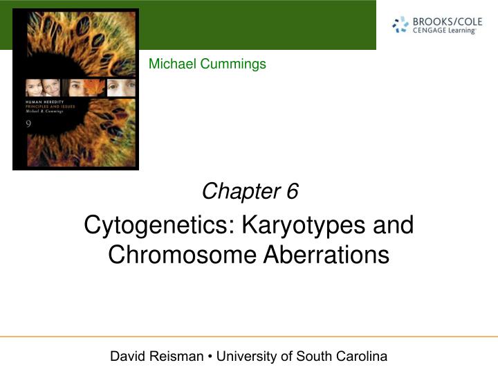 cytogenetics karyotypes and chromosome aberrations