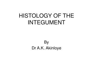 HISTOLOGY OF THE INTEGUMENT