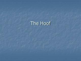 The Hoof