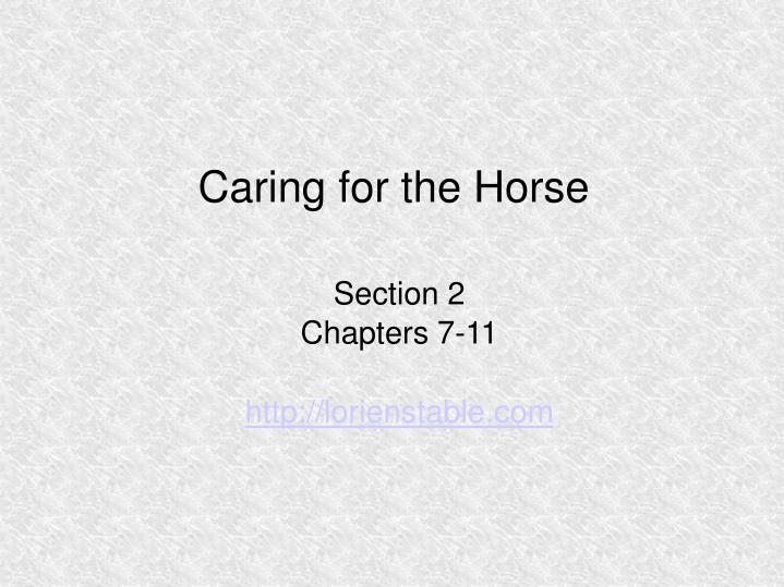 caring for the horse