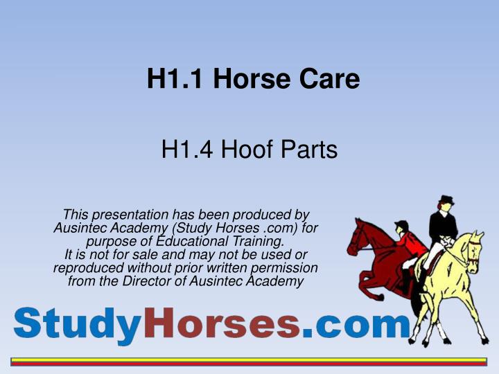 h1 1 horse care