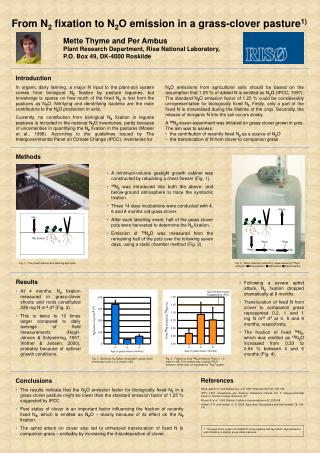 From N 2 fixation to N 2 O emission in a grass-clover pasture 1)