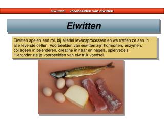 eiwitten voorbeelden van eiwitten