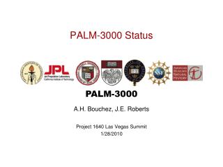 PALM-3000 Status