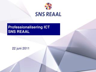 professionalisering ict sns reaal