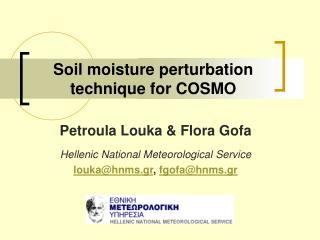 Soil moisture perturbation technique for COSMO