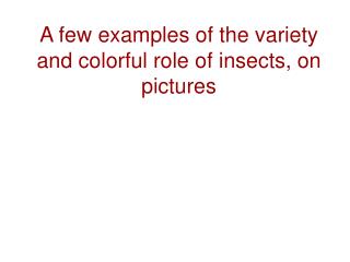 A few examples of the variety and colorful role of insects, on pictures