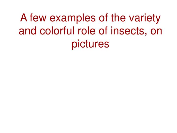 a few examples of the variety and colorful role of insects on pictures