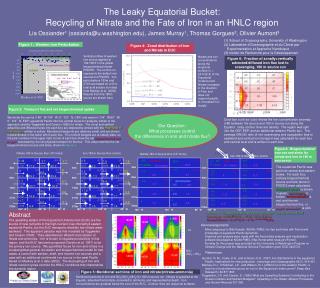 The Leaky Equatorial Bucket: Recycling of Nitrate and the Fate of Iron in an HNLC region