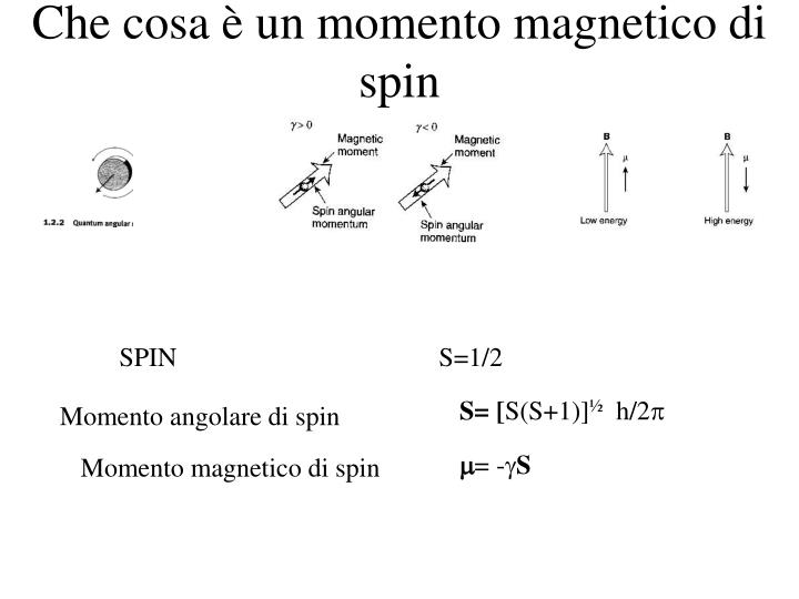 che cosa un momento magnetico di spin