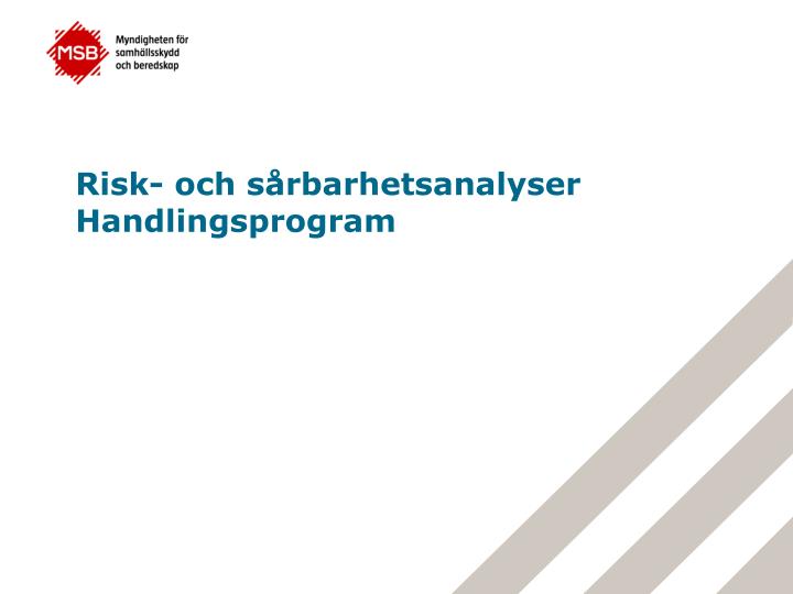 risk och s rbarhetsanalyser handlingsprogram